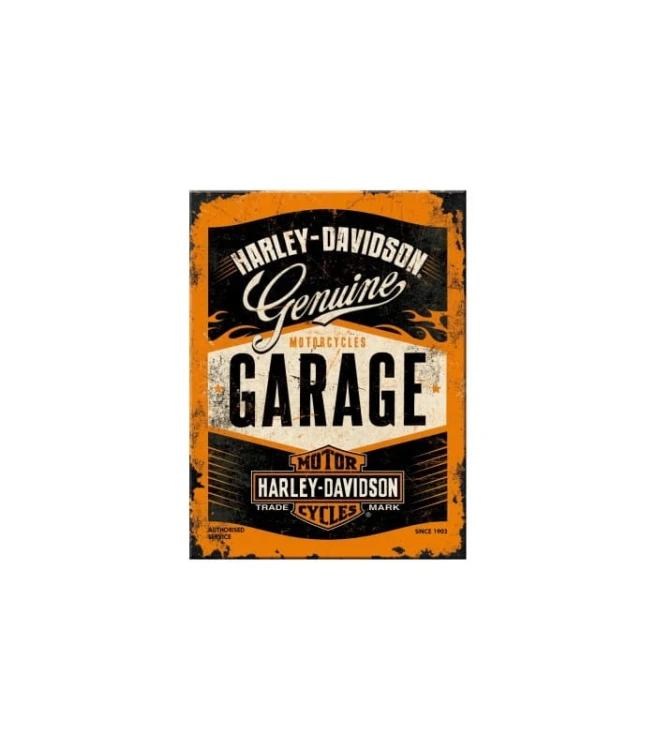 magnes garage.jpg
