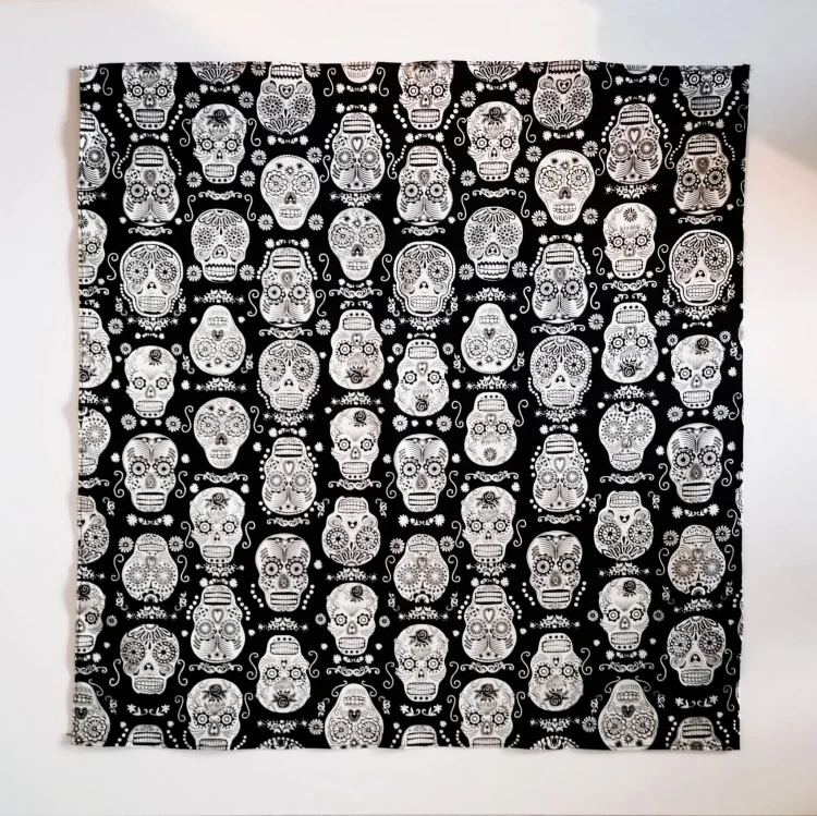 94310999_678282543002439_2985693700325113856_n.jpg
