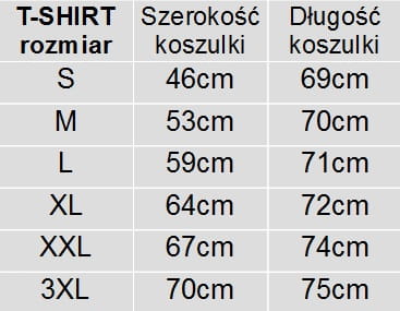 t-shirt męski demotos.jpg