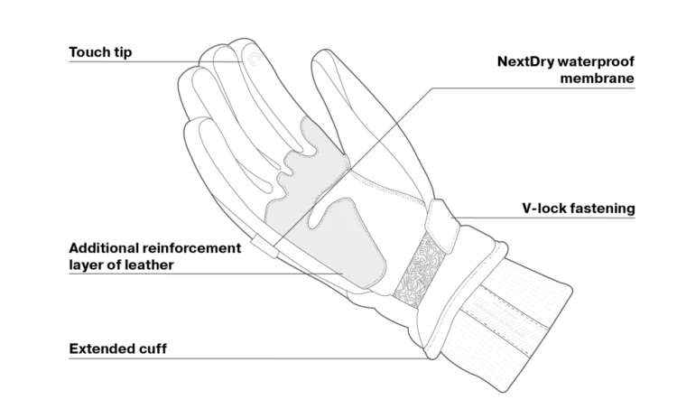 OSLO_PALM WP.png