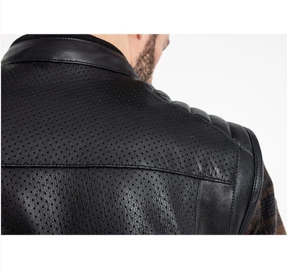 k9.jpg