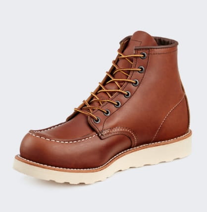 redwing3.jpg
