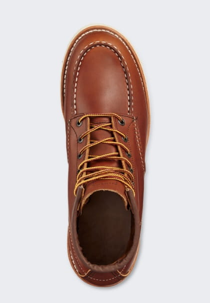 redwing4.jpg