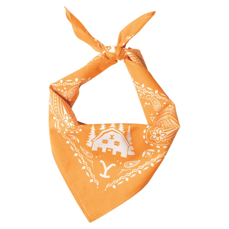 BANDANA-18_050.png
