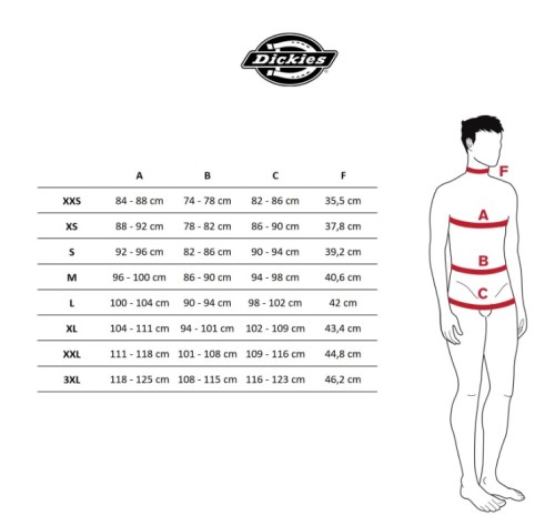 Dickies-de-motos.jpg