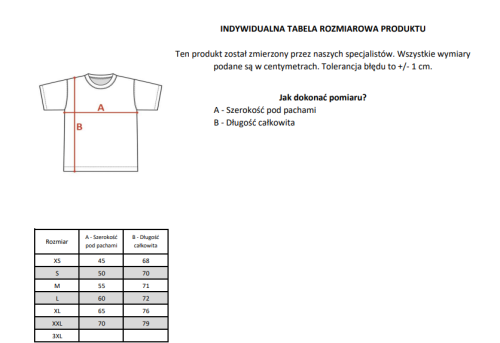 sizetshirtcarhartt.png