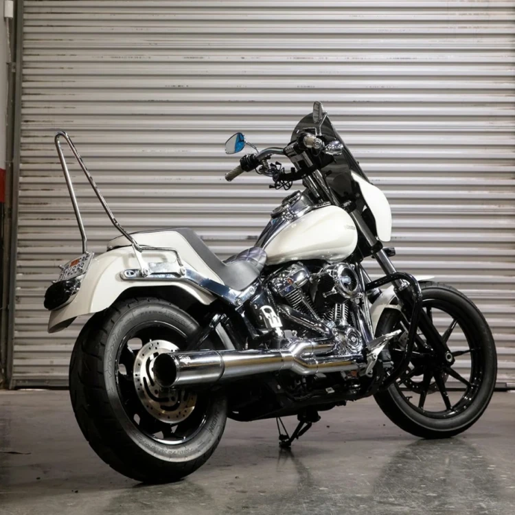 Biltwell Sissy Bar De Motos Chrome5.jpg