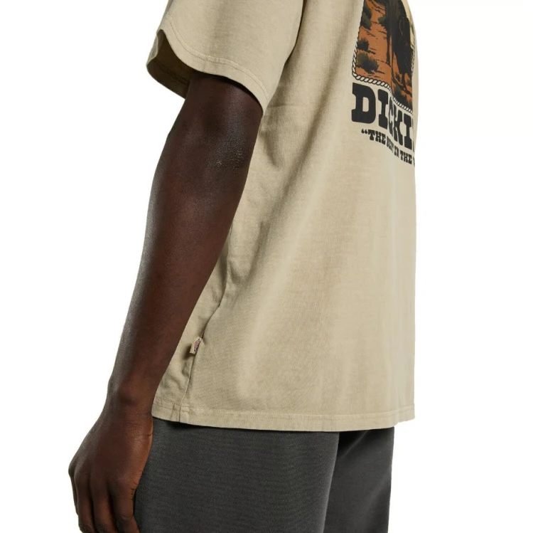 Koszulka Dickies Longhorn De Motos3.jpg