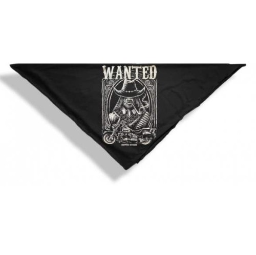 Chusta Choppers Wanted DeMotos..jpg