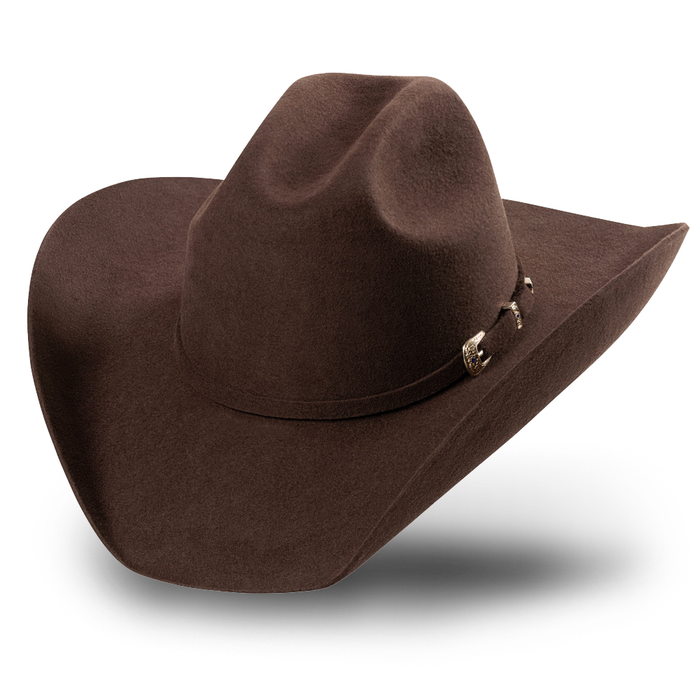 Wyoming_brown_nolo.jpg